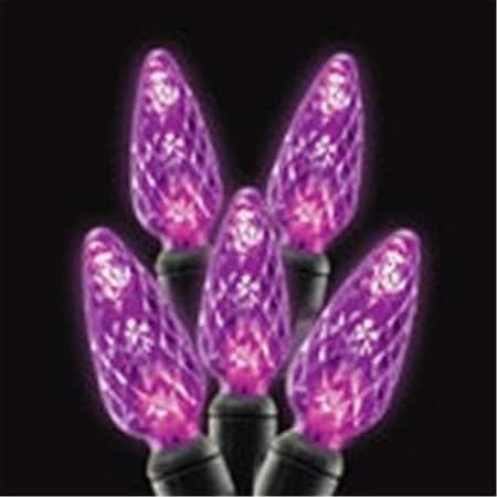 C6 LED Light Strands Purple Full Wave